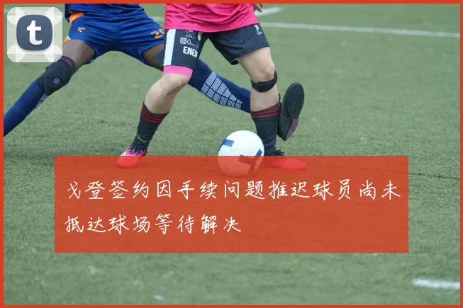 戈登签约因手续问题推迟球员尚未抵达球场等待解决